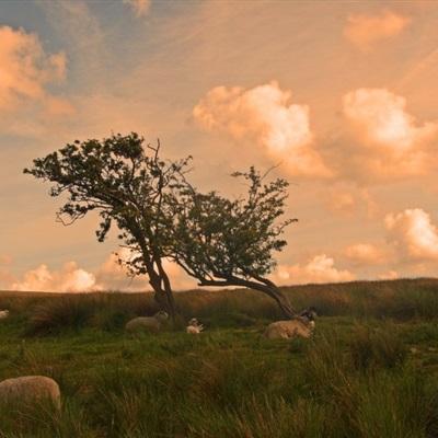 ROR体育官网登录入口